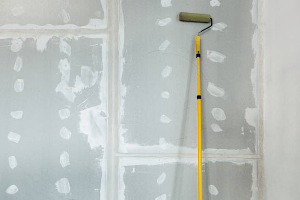 Professional Drywall & Painting Services in Safety Harbor, FL